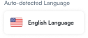 Auto detected language